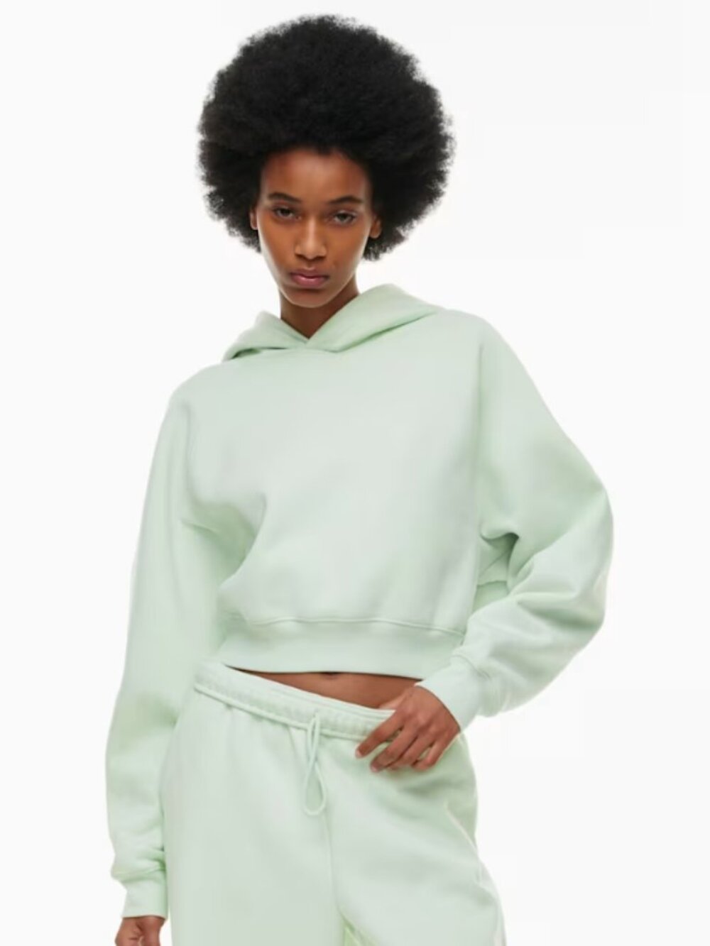 Aritzia TNA Boyfriend Hoodie — Mint Chip (Cropped Raglan)